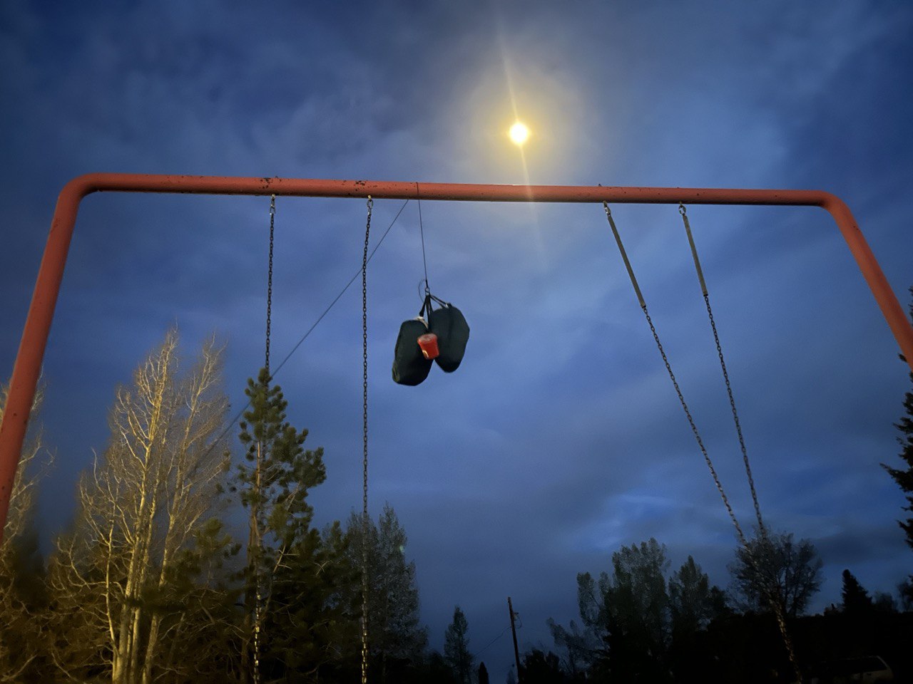 Hang food bear proof at night